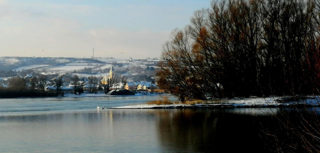 Danube Fairy Villa Futog Buitenkant foto