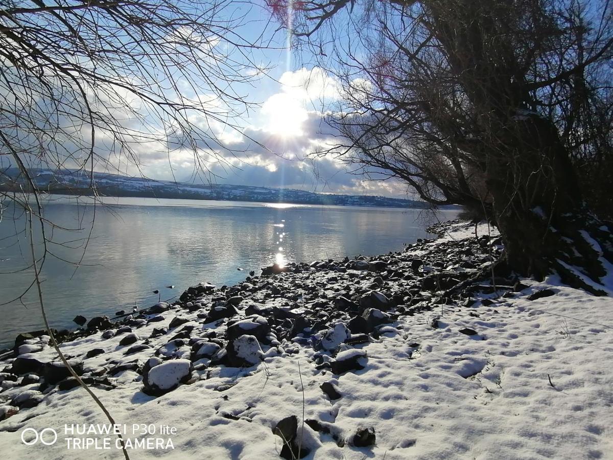 Danube Fairy Villa Futog Buitenkant foto