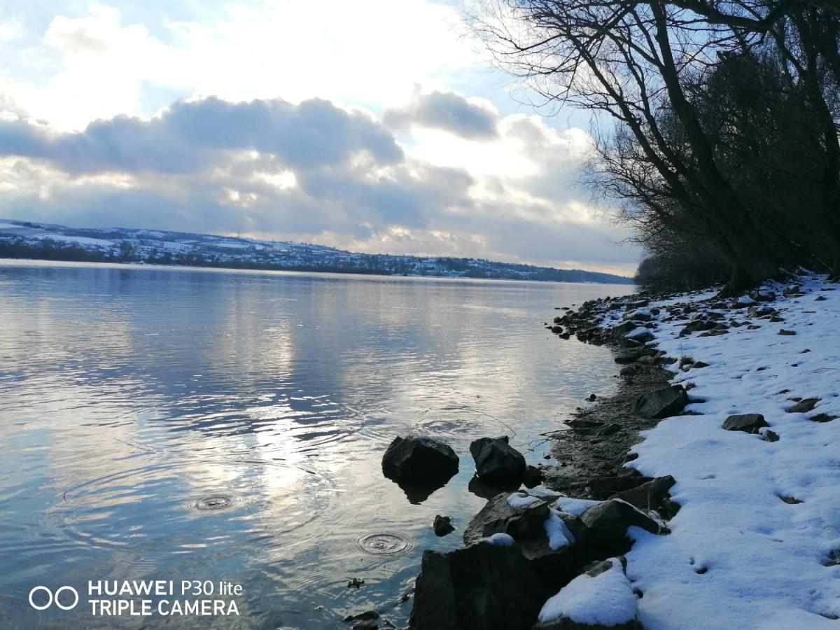 Danube Fairy Villa Futog Buitenkant foto