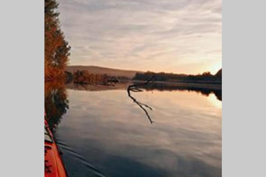 Danube Fairy Villa Futog Buitenkant foto