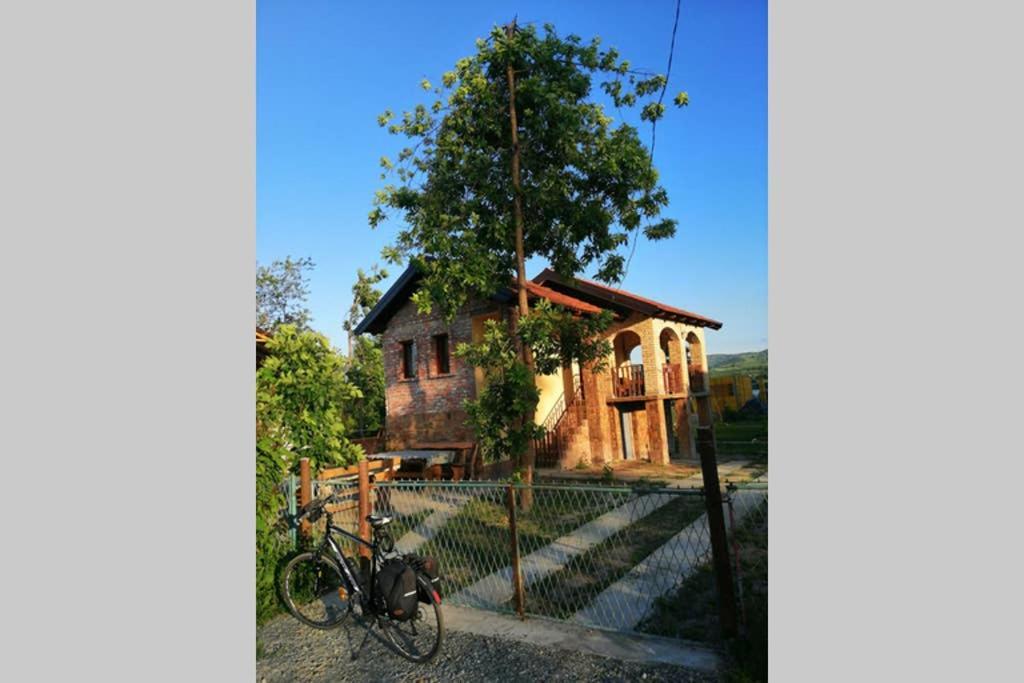 Danube Fairy Villa Futog Buitenkant foto