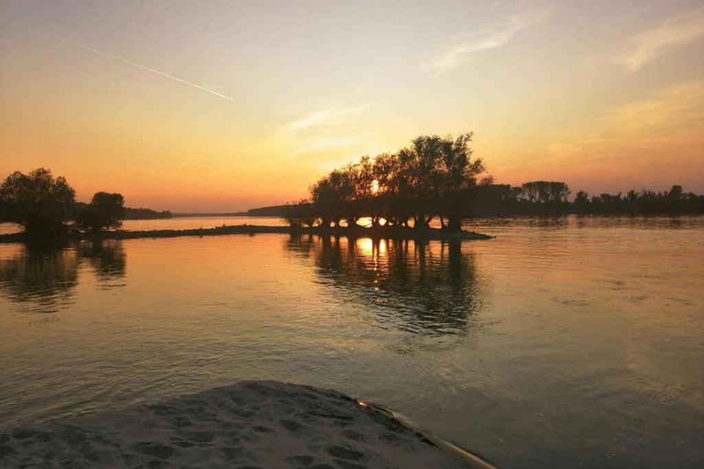 Danube Fairy Villa Futog Buitenkant foto